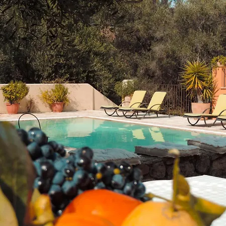 Mastrogiannis Levanda Kavvadades