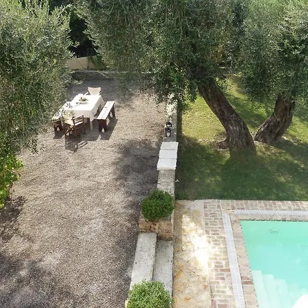 Mastrogiannis Levanda * Kavvadades