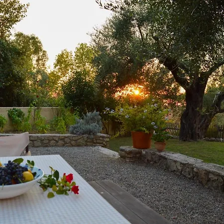 Mastrogiannis Levanda * Kavvadades